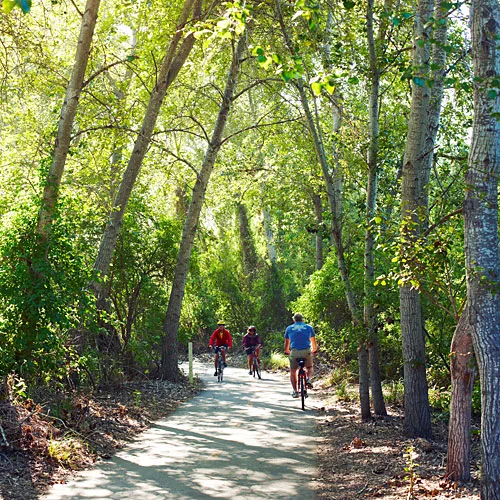 Bob Jones Trail.jpg