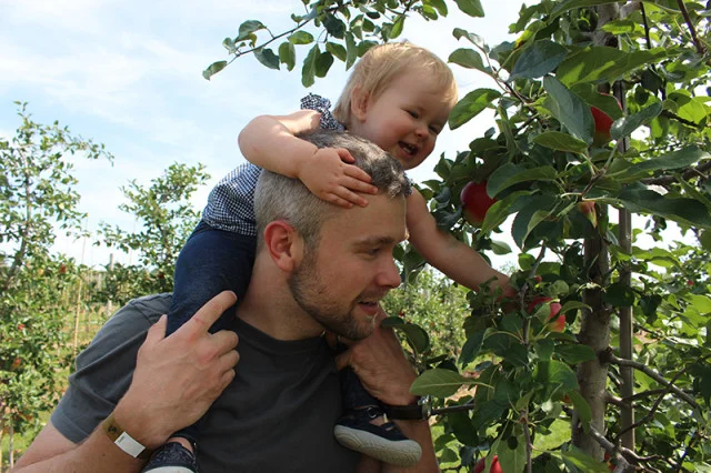 Apple Picking.jpg