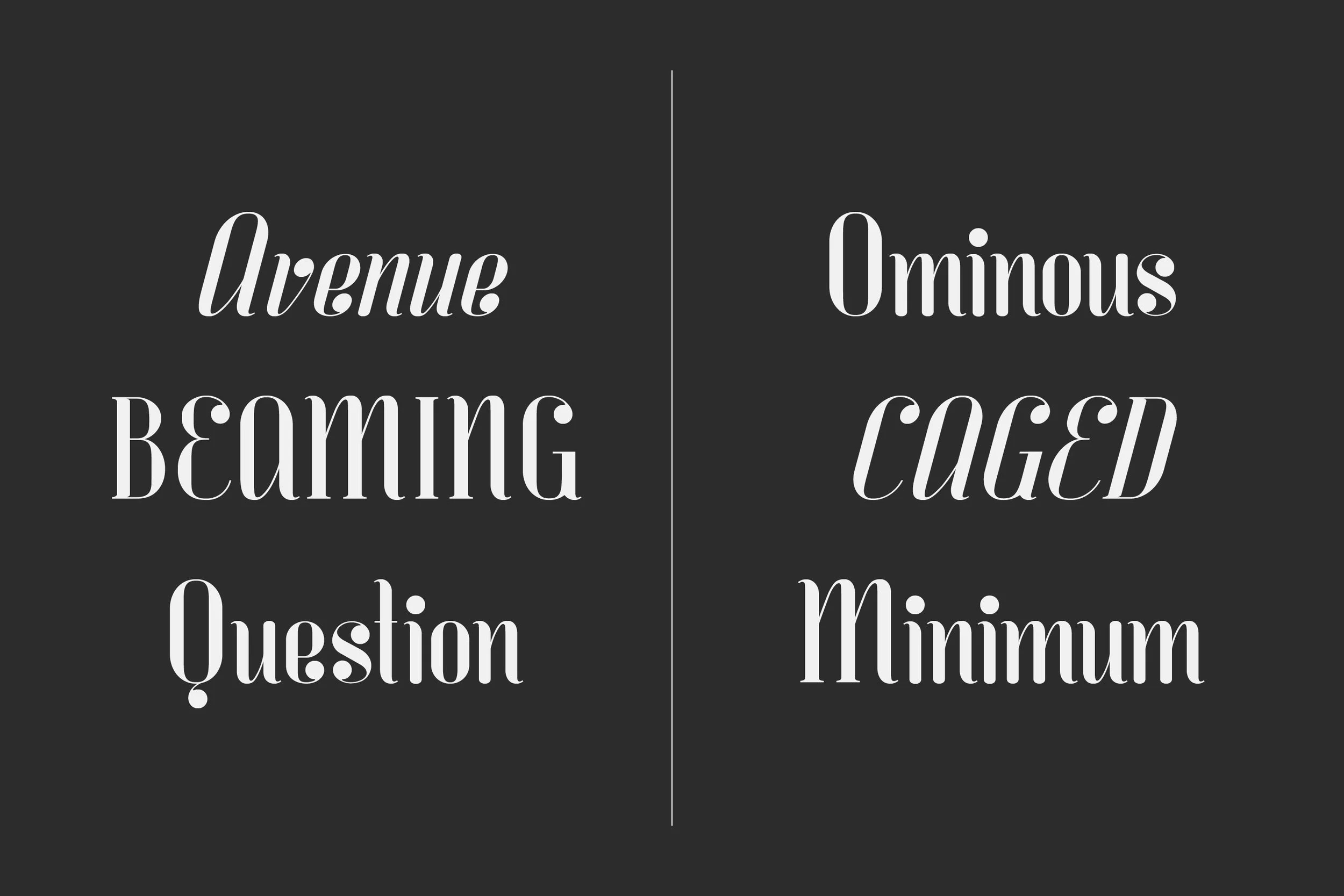 Darling_presentation10.jpg