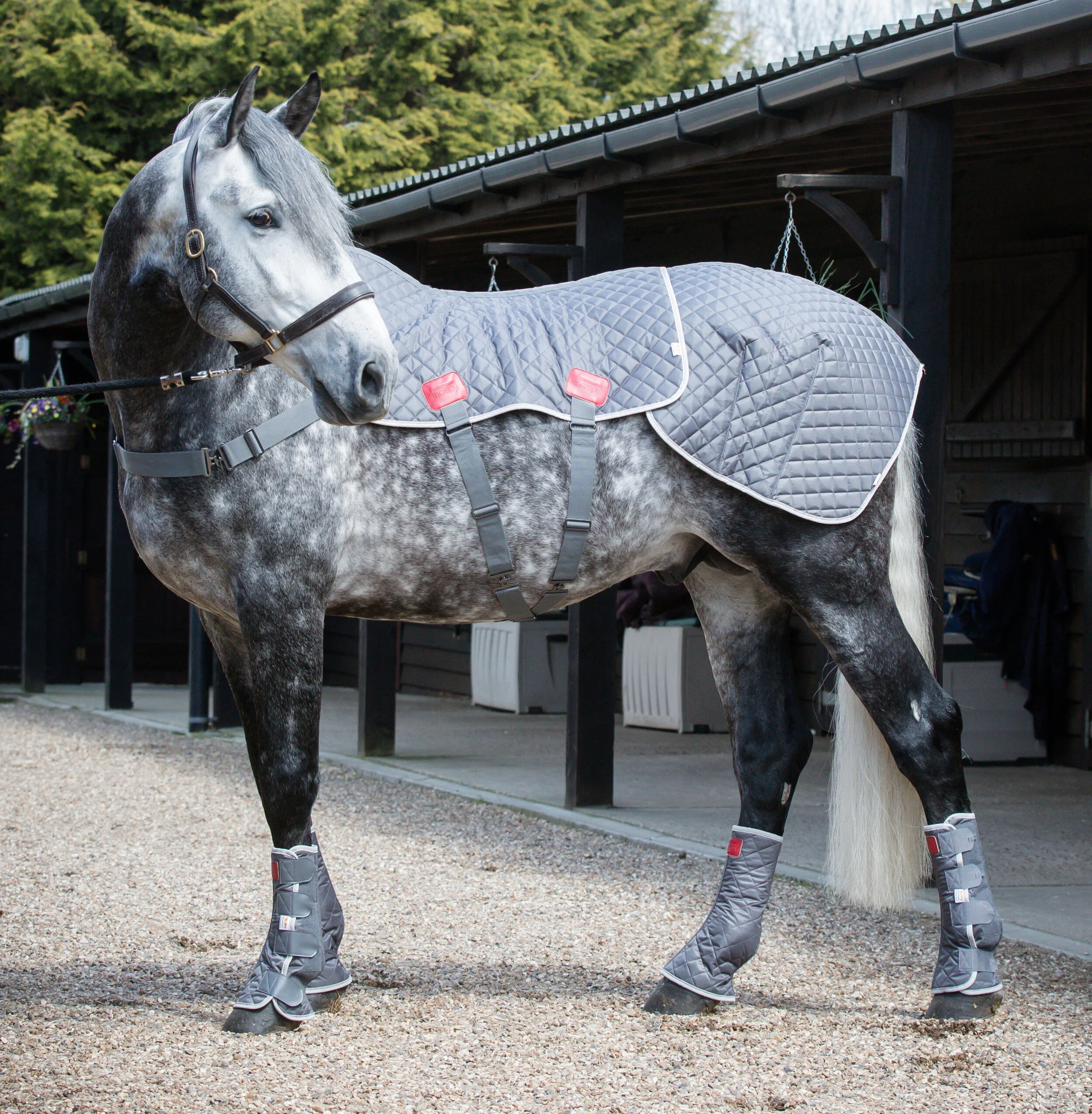  Terapia Magnetica de EQUILIBRIUM Therapy®