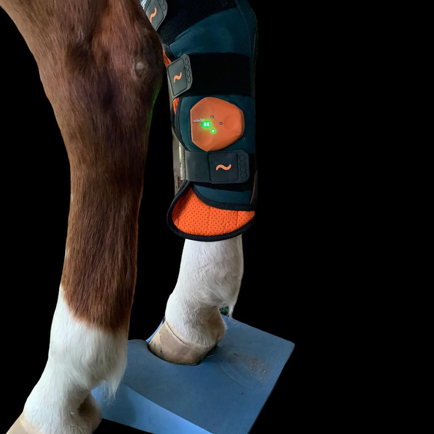 Haciendo #research - el trabajo de hoy trata de Terapia PEMF de 
BE〽️ER pero esta vez en el corvejon  y acompañada de plataformas para trabajo de propiocepcion y postura con slants’z