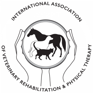 cropped-IAVRPT-Logo-BW.png