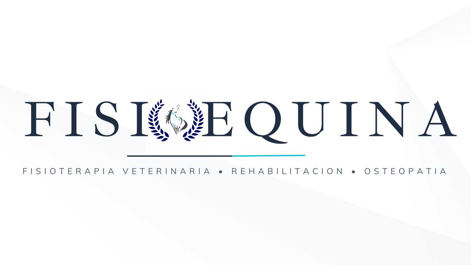 Fisioequina