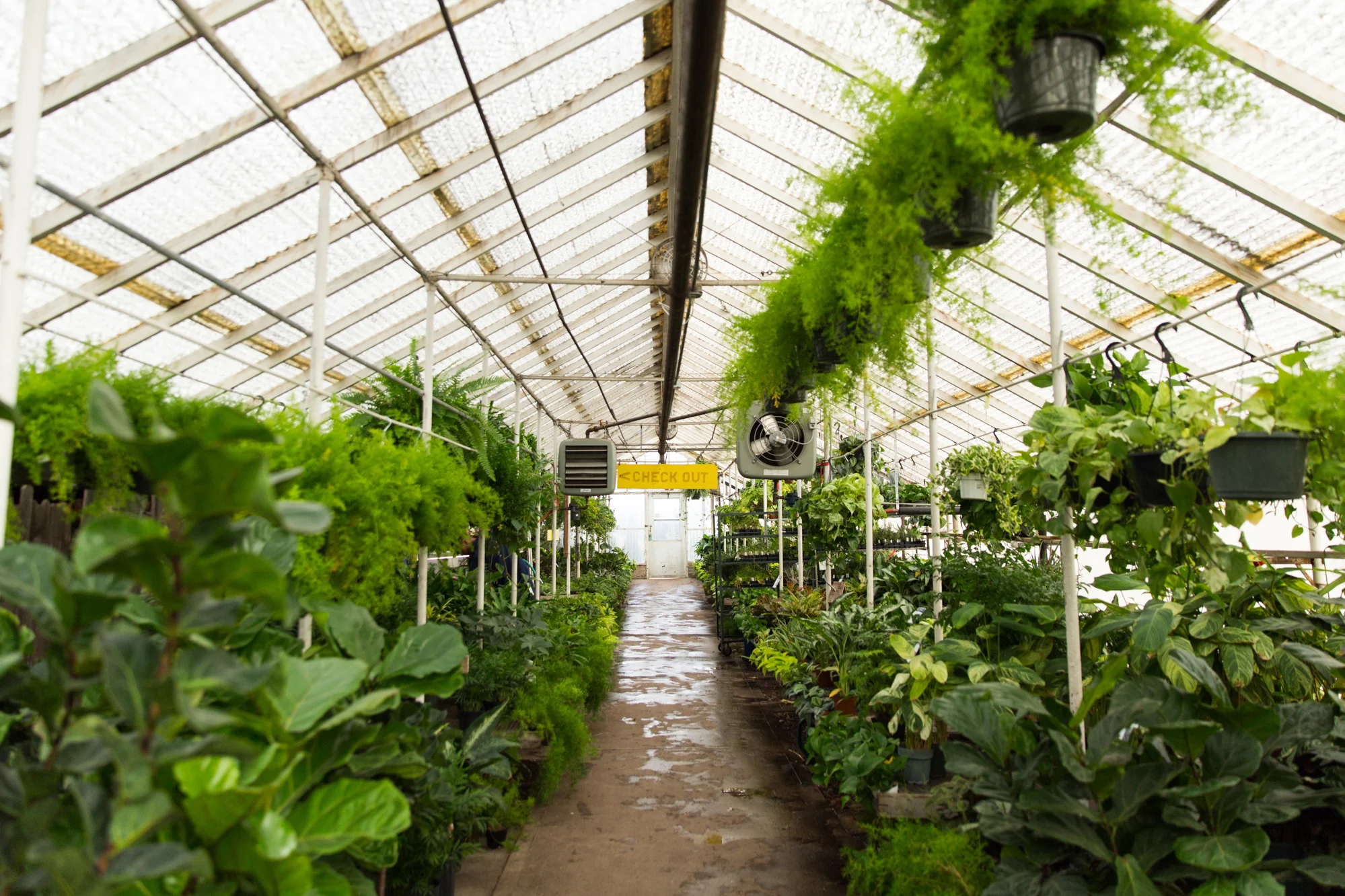 fond life city floral -7.jpg