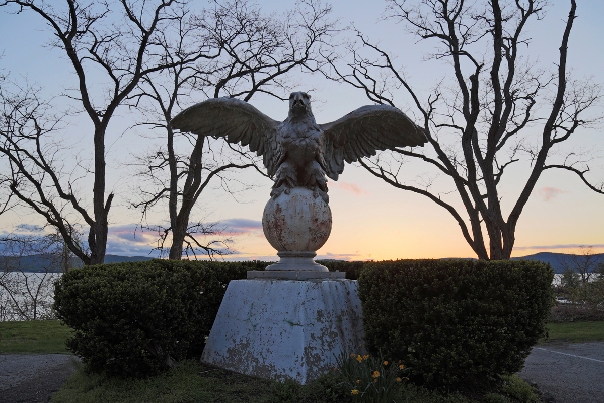 The Philipse Manor eagle in 2019. Photo: Dawn Kriss