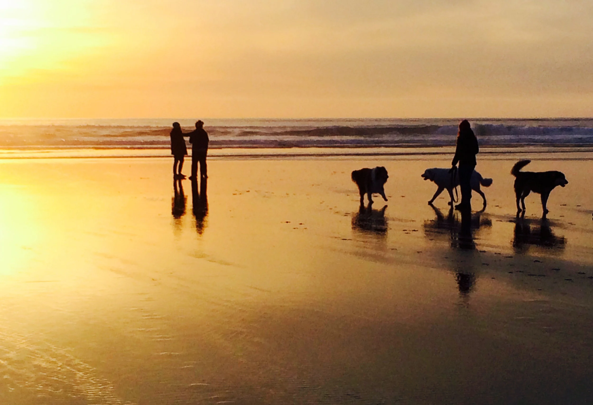 suns.2dogs copy.jpg