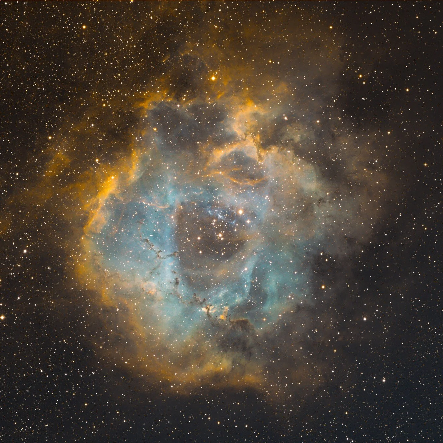 Do you like roses? Then this might get you to appreciate the beauty of the heavens. The Rosette Nebula.