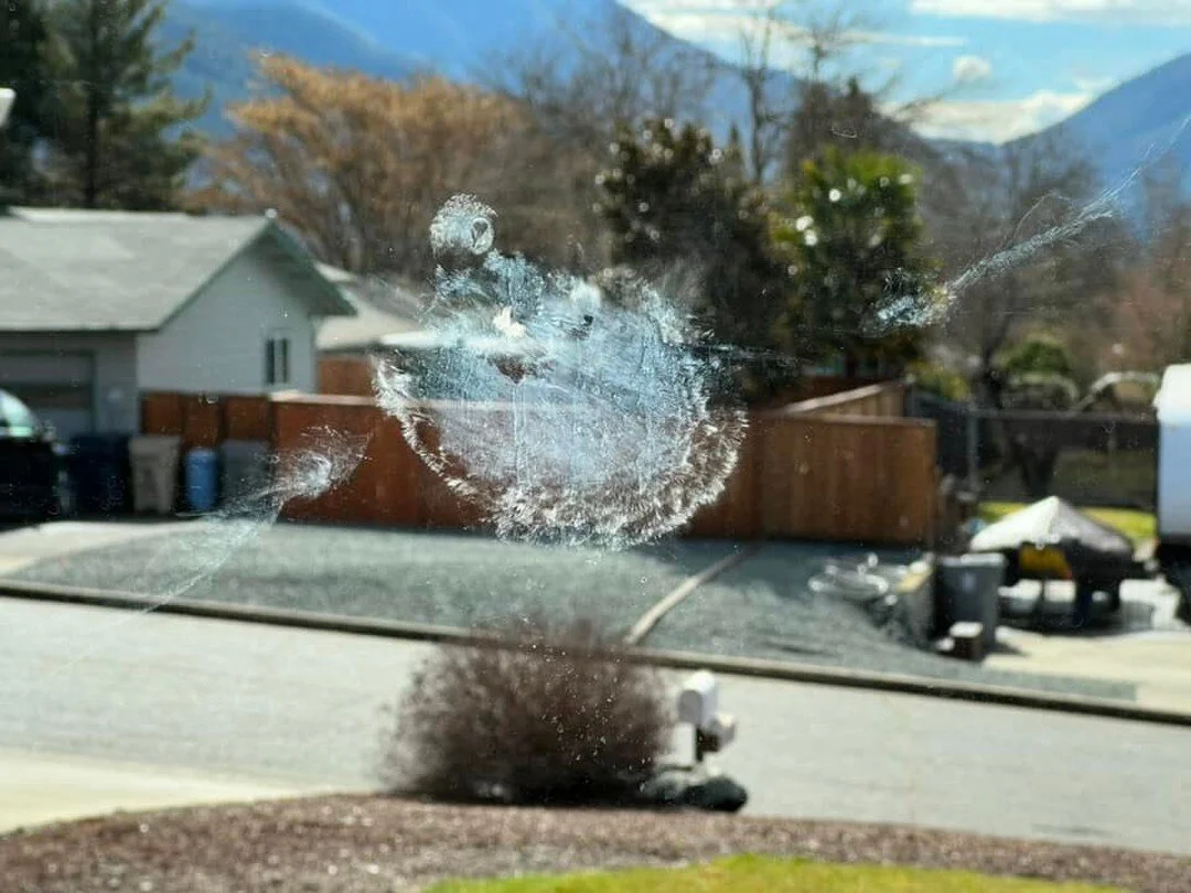 Birds periodically hit the front window of the house. Many die on impact, and I find them on the ground. All that is left is a small mark on the window. This bird, however, was much larger and left a signature that is very remarkable. It appears to h