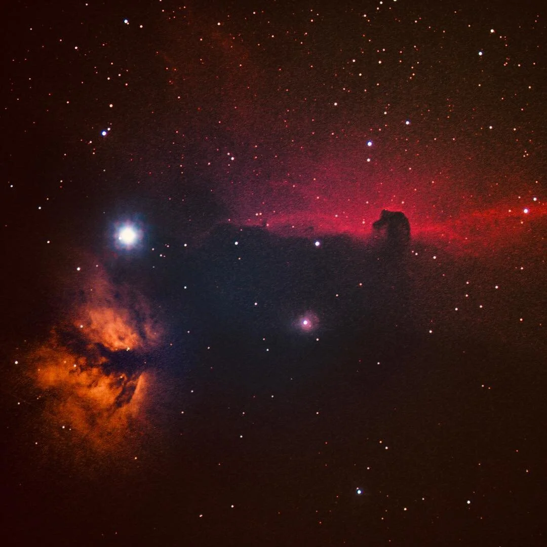 Horsehead and Flame Nebulas