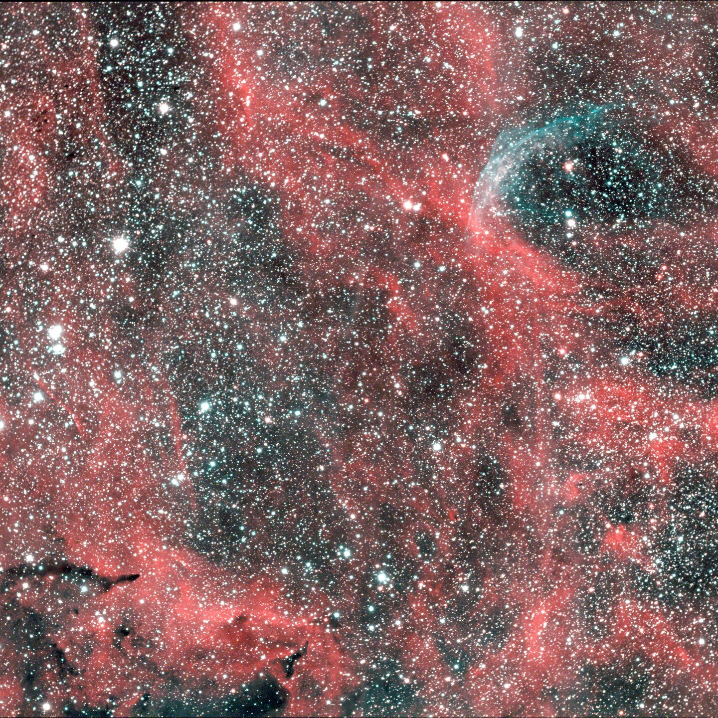 Busy nebulous region near Cygnus - NGC 6883 and WR 134 - 29 five min. exposures (2 hrs. 25 min. total integration), RASA 8, ASI 2600 MC Pro, IDAS NBZ Nebula Booster UHS, ASI Air Plus, taken during the 2023 Oregon Star Party. #oregonstarparty #zwo #as