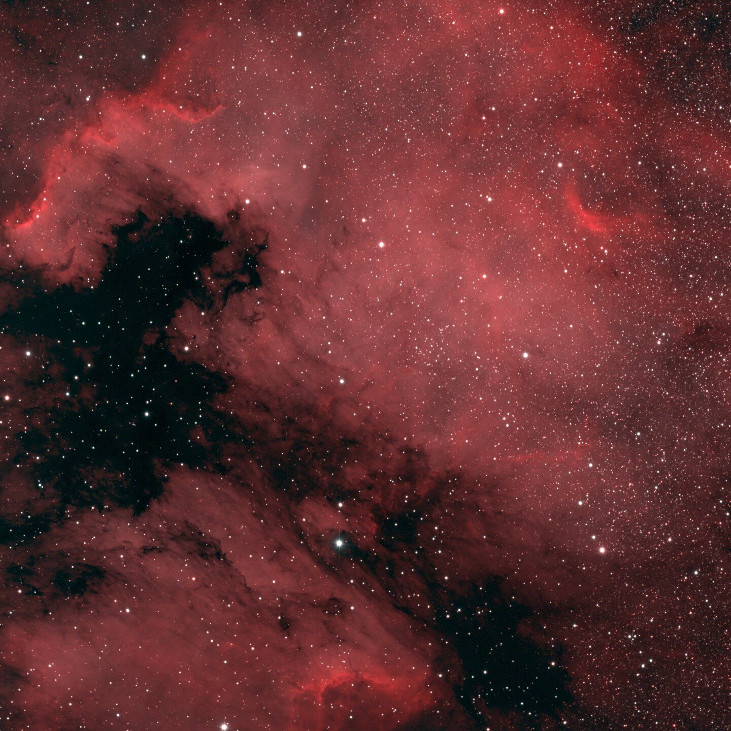 North American Nebula (NGC 7000)(top) and Pelican Nebula (IC 5070)(bottom), 74 five min. exposures (6 hrs 10 min total integration), #rasa8, #asiairplus, #asi2600mcpro, #idasnbzuhs,