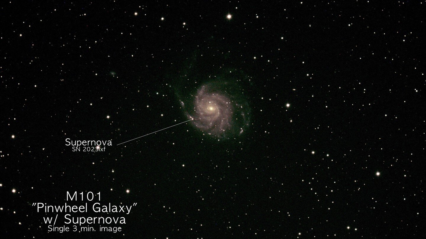 Pinwheel Galaxy (M101) with supernova visible. RASA 8, ASI 183MC Pro, 30 three min. exposures (1 hr 30 min total integration) taken during the 2023 Oregon Star Party #oregonstarparty