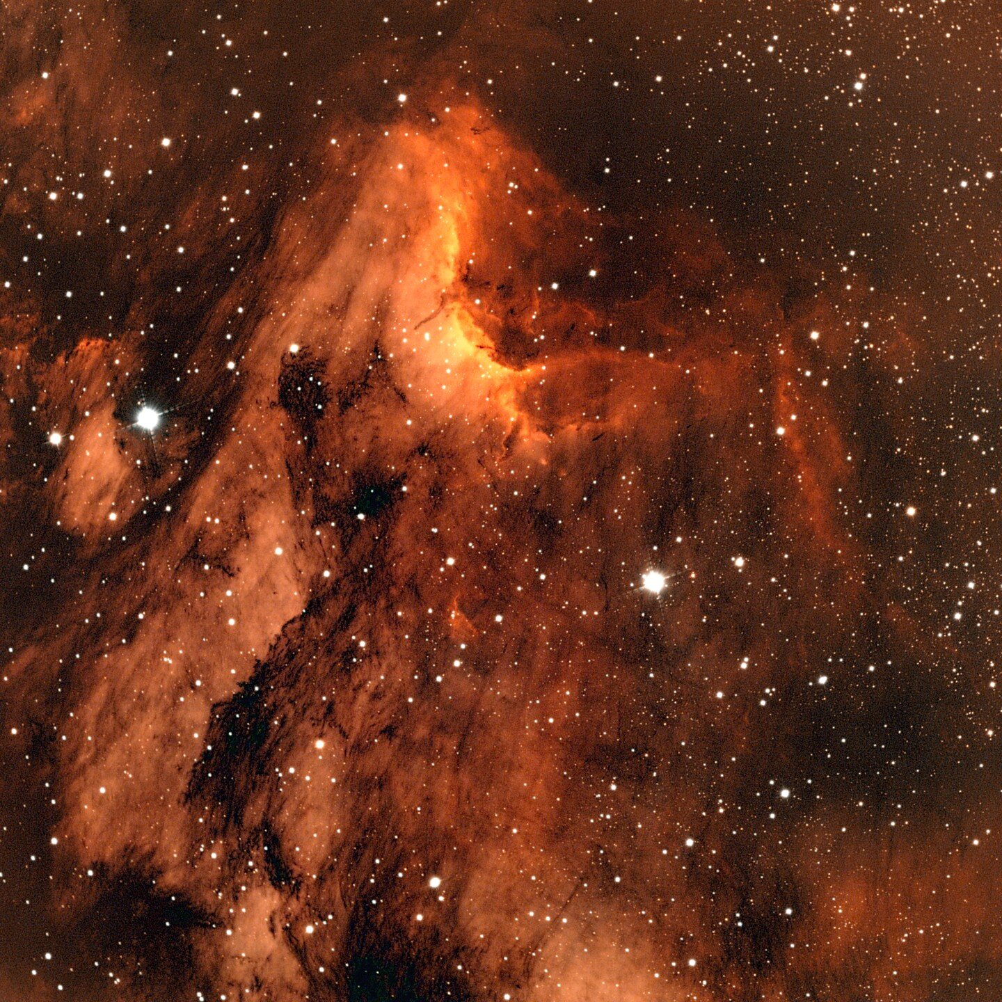 Pelican Nebula (IC 5070). Can you see the Pelican? 29 three minute exposures (1 hr 27 min. total integration). RASA 8, ASI 6200MC Pro, IDAS NBZ Nebula Booster UHS. Taken during the 2023 Oregon Star Party. #oregonstarparty