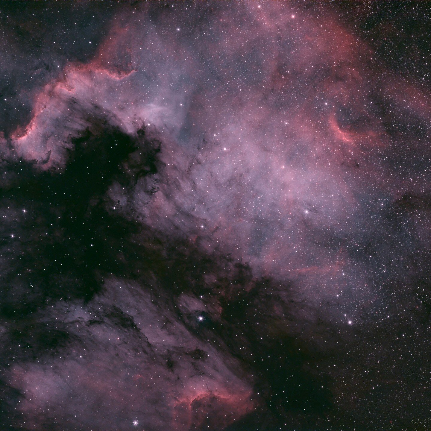 North American (top) and Pelican (bottom) Nebulas. HOO processing. 1,600 light-years away