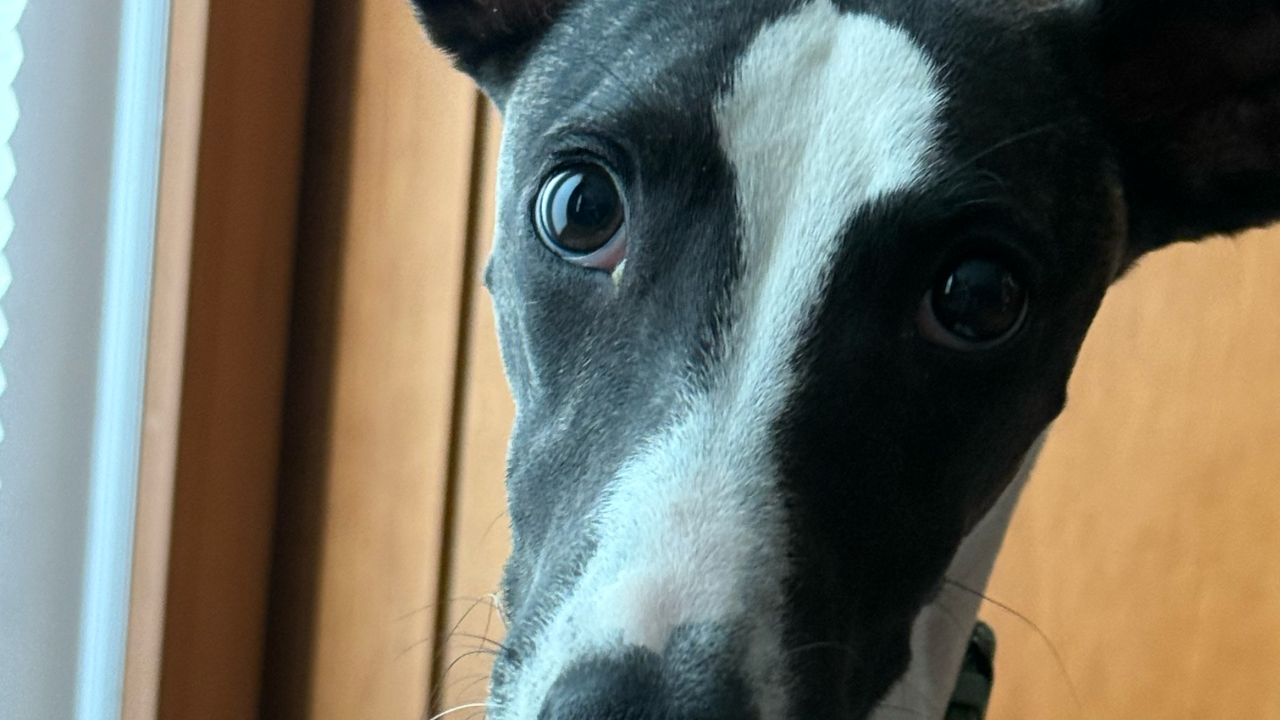 FBP 1016 - God Wants Our Hearts