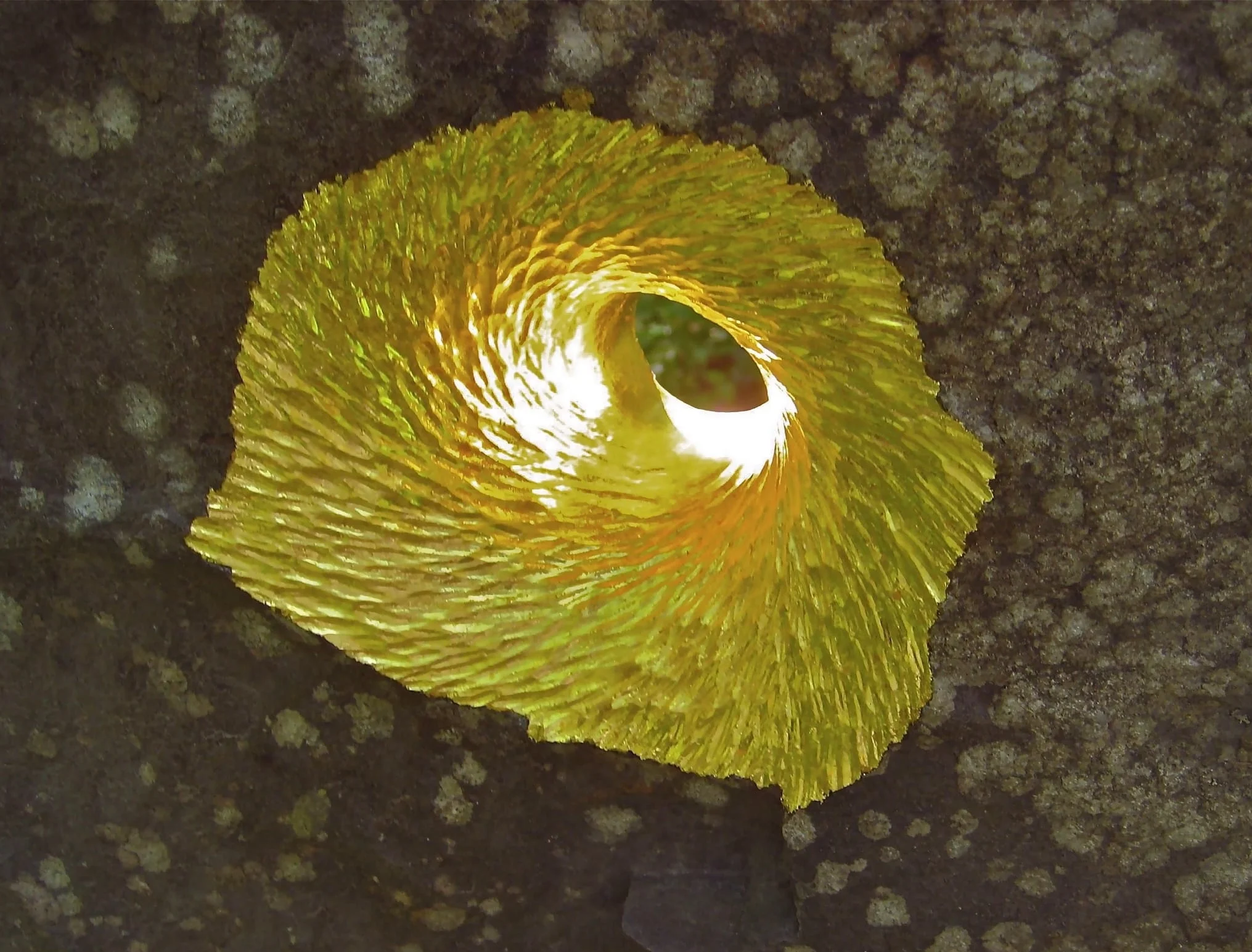 Gold leafed portal