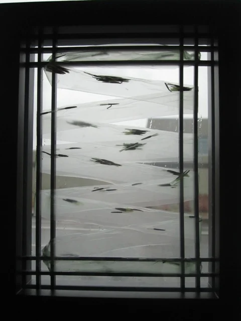 "Baby Diagonal Tape" Seed tapes and frame. 9x7"