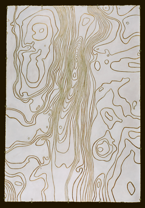 Free Air Gravity Anomaly Map of Dead Sea Basin
