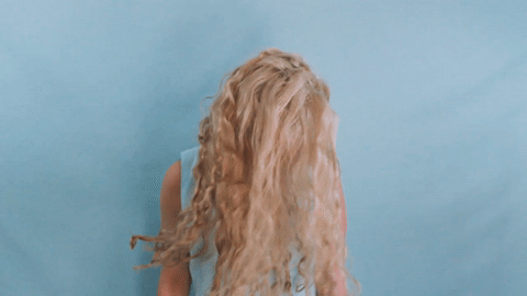 giphy.gif