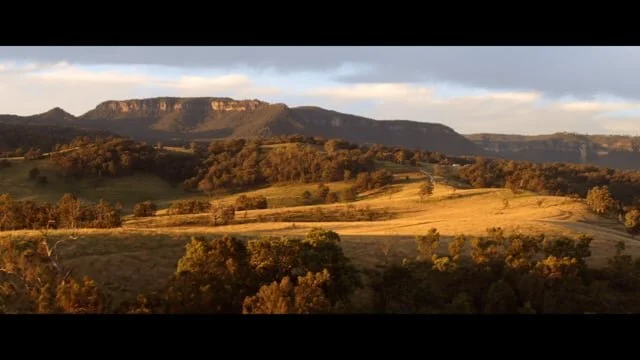 Volkswagen Walkinshaw