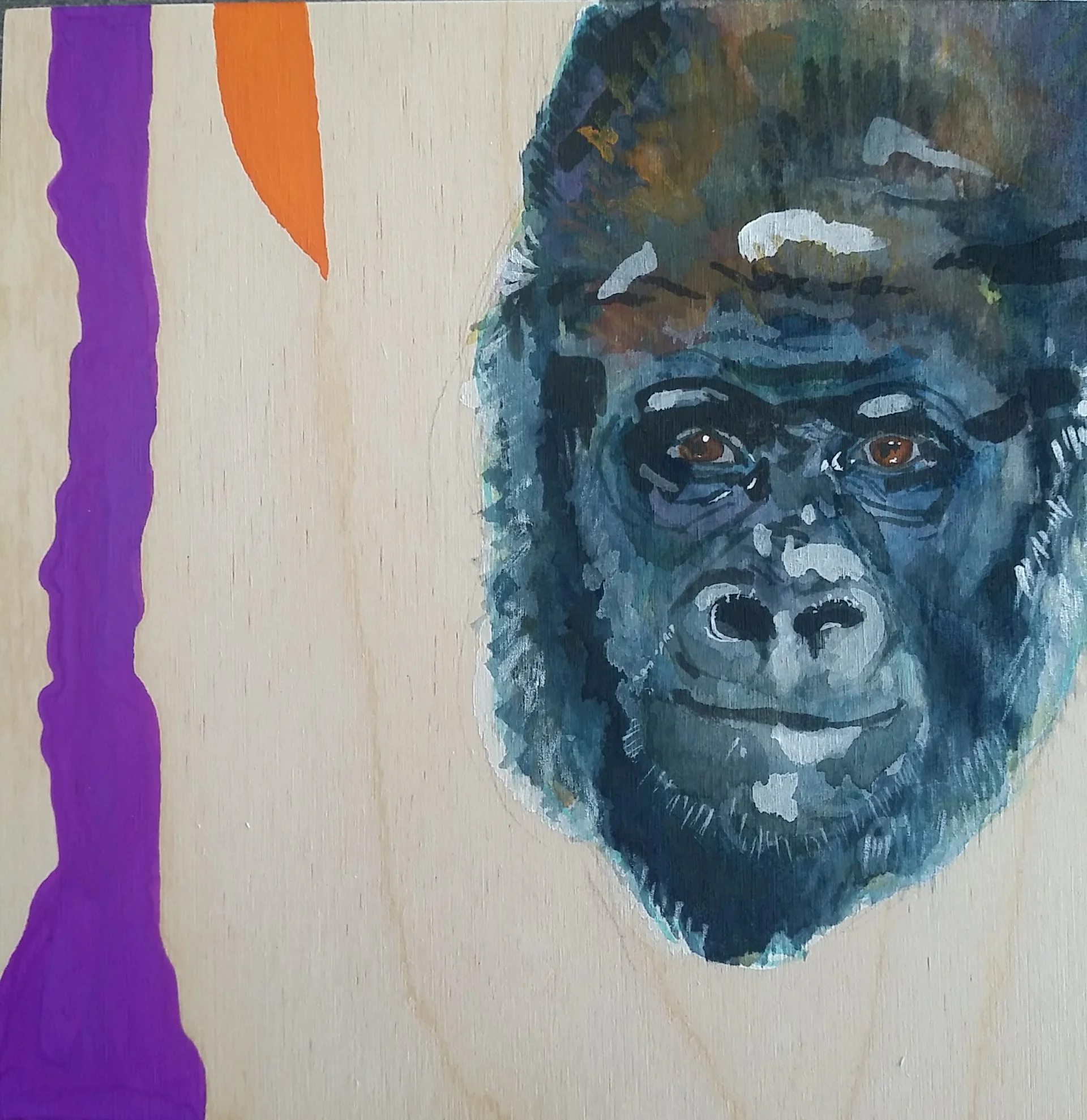 silverbackgorilla1.jpg