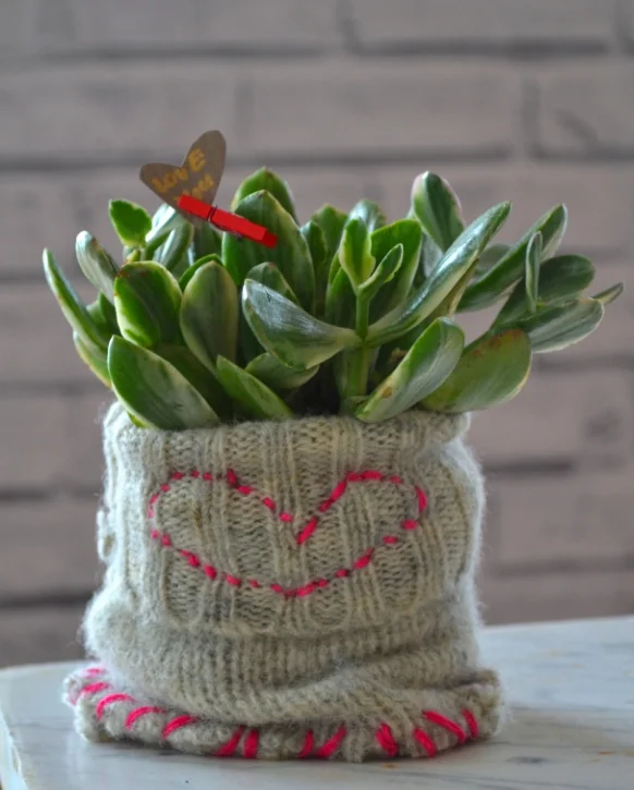 Nothing says I LOVE YOU...more than a succulent in a sweater...