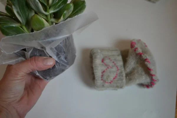 I wrapped the plant in wax paper and slide into the sleeve! 