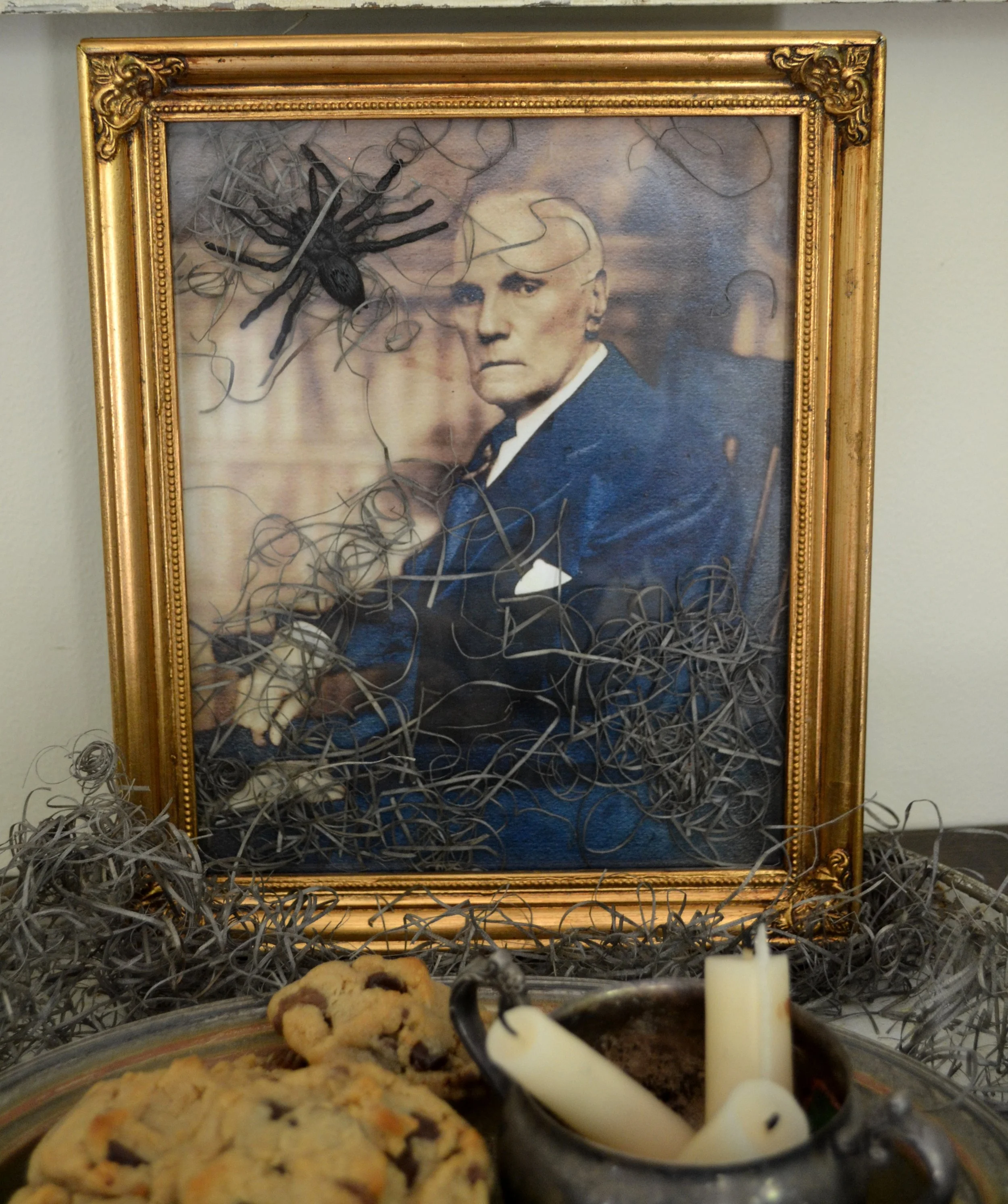 This is truly an ancestor of mine. Not sure who it is...my Mom would know...Anyway...all I did was print it out with a vintage look (just changed the saturation of the color) and then squeezed in some moss and a spider than slide it all back together. This is at the entrance way so when the neighbors come by, they grab a cookie and a look at my genetic history!! :)