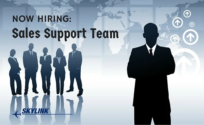 Sales Support Team
