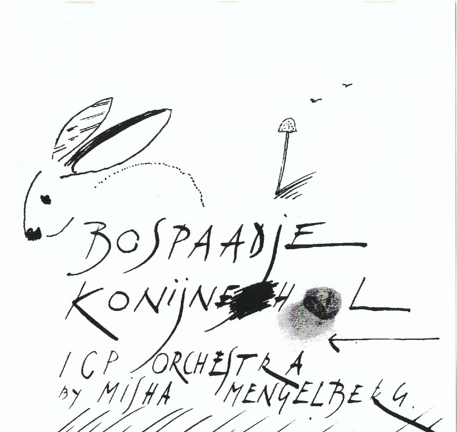 icp029front.jpg
