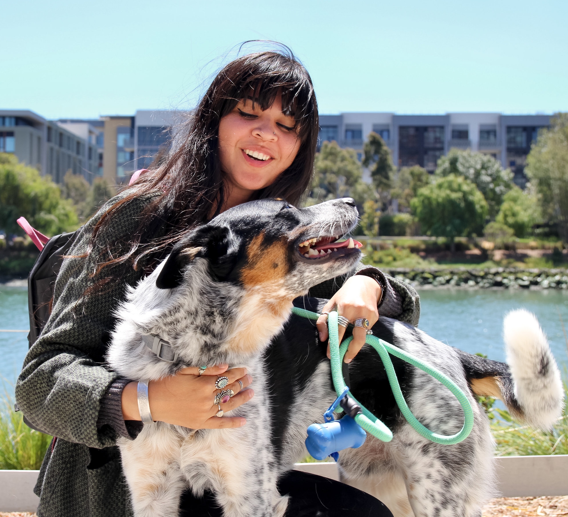 Why Dog Walking is the Best Day Job on the Market