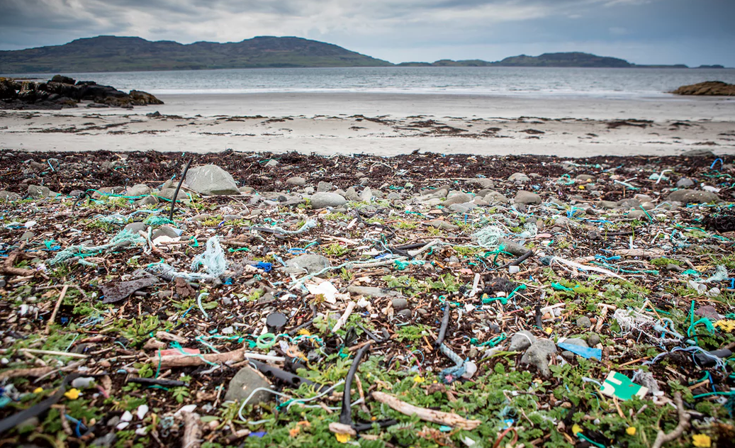 Photograph: Will Rose/Greenpeace