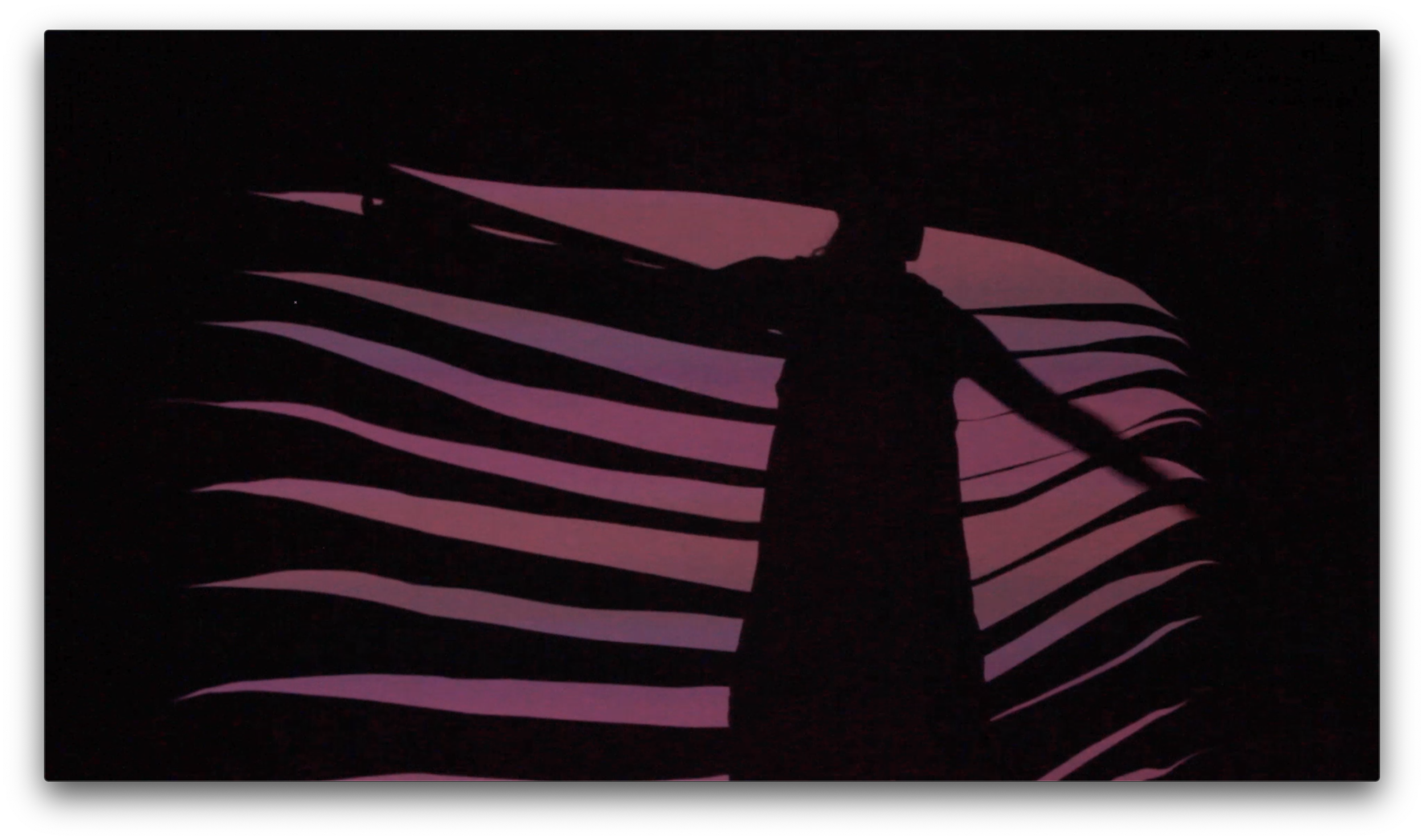 Screen Shot 2020-05-15 at 5.59.05 PM.png