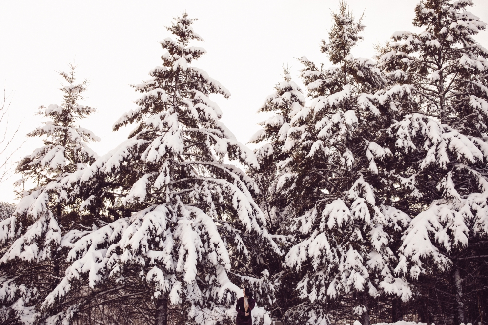 katie snow blog 7.jpg