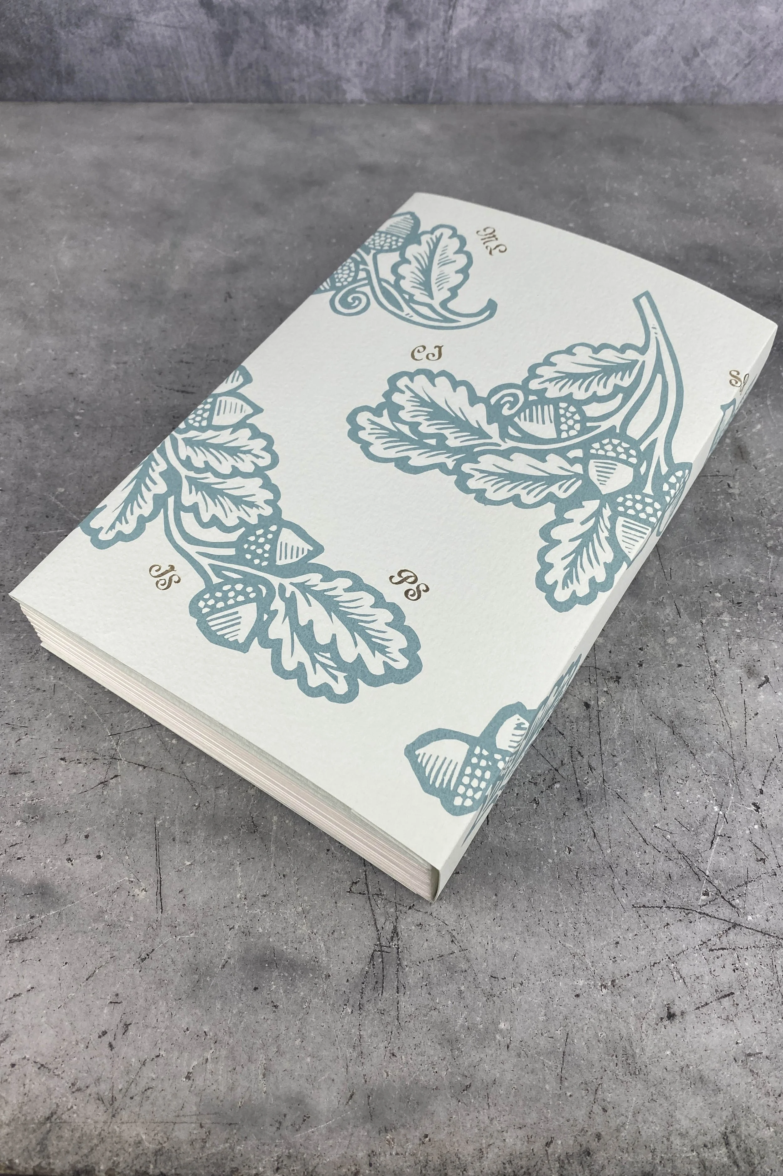 BookClosedBackCover.jpg