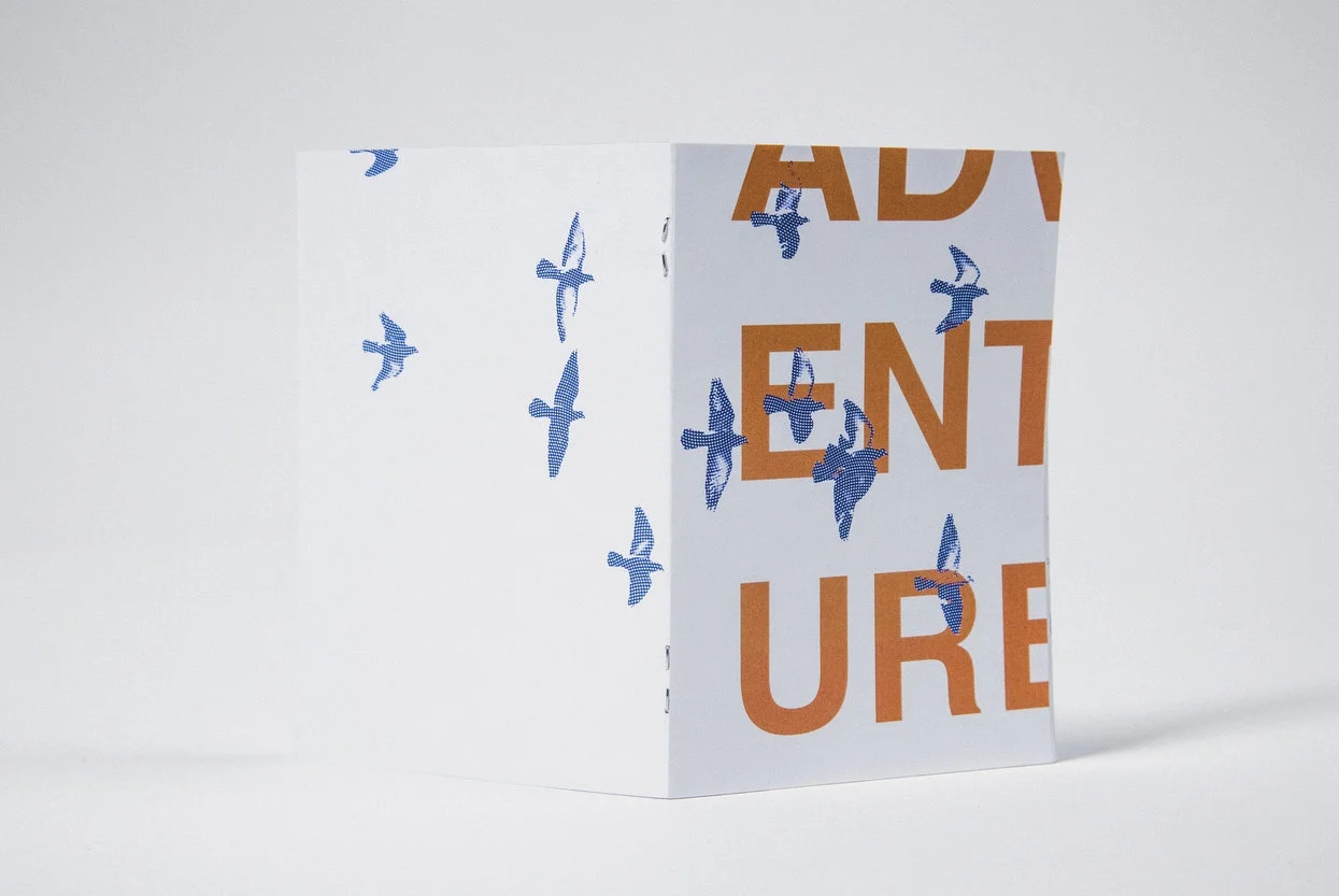 Adventure Web Spread1.jpg