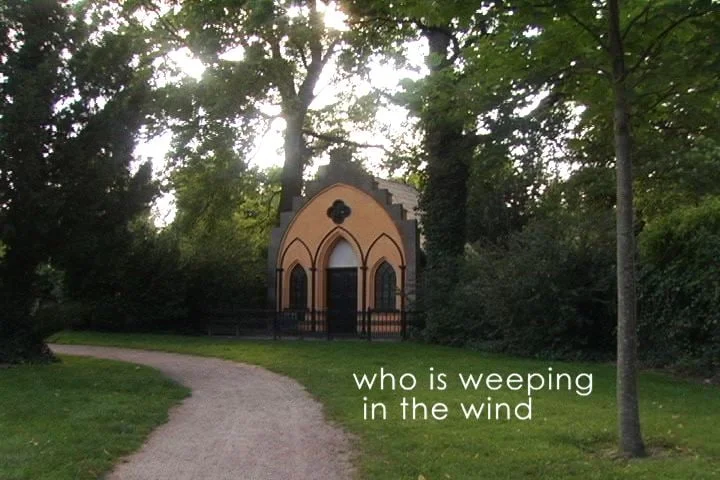 the first and the last2.jpg