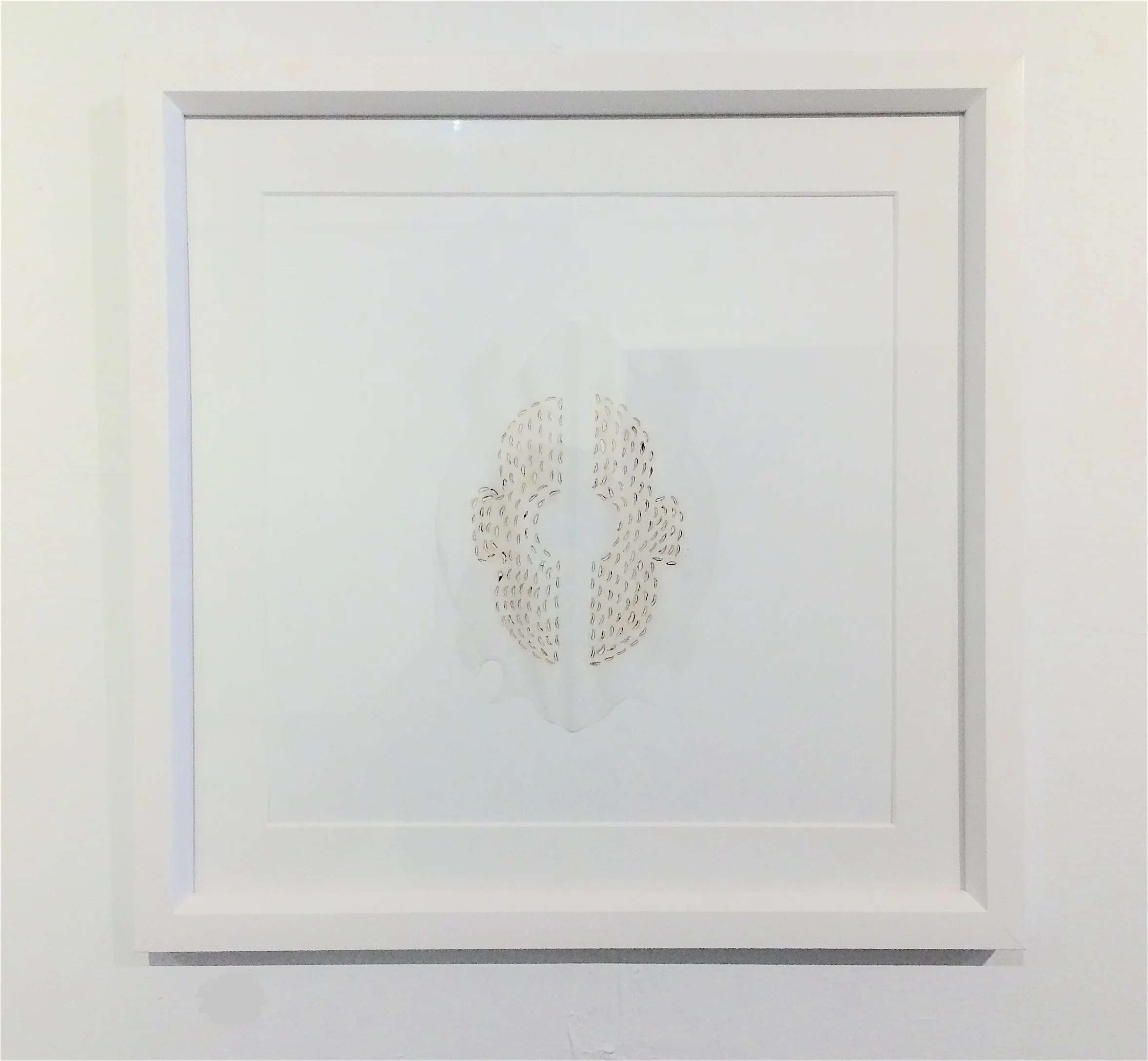 cuts and burns_sentinel1.jpeg