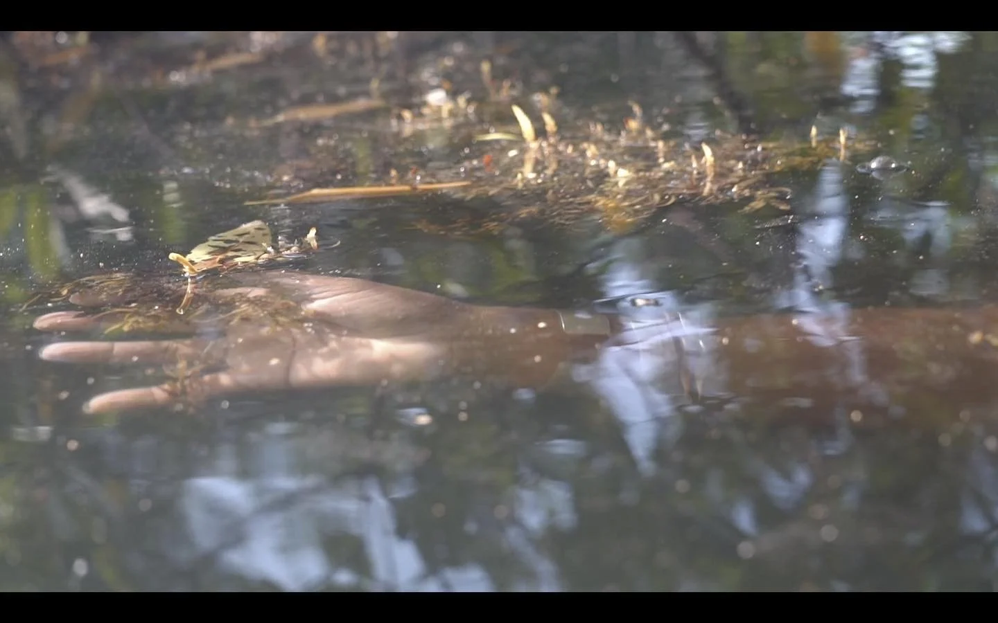 Danish Colonialism and Embodied Memory&nbsp;