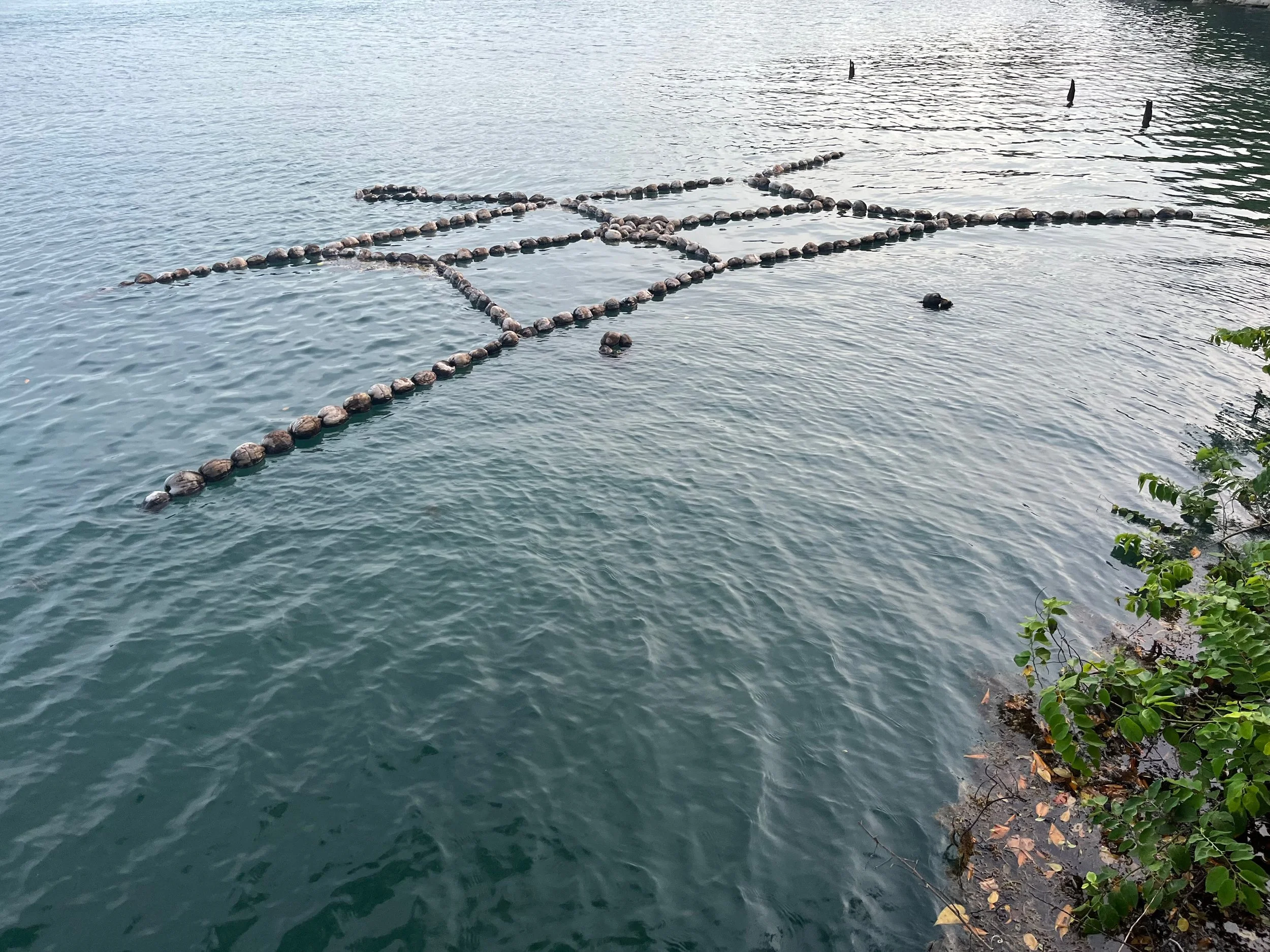 Por El Viento y La Corriente (Becoming Wind and Current)