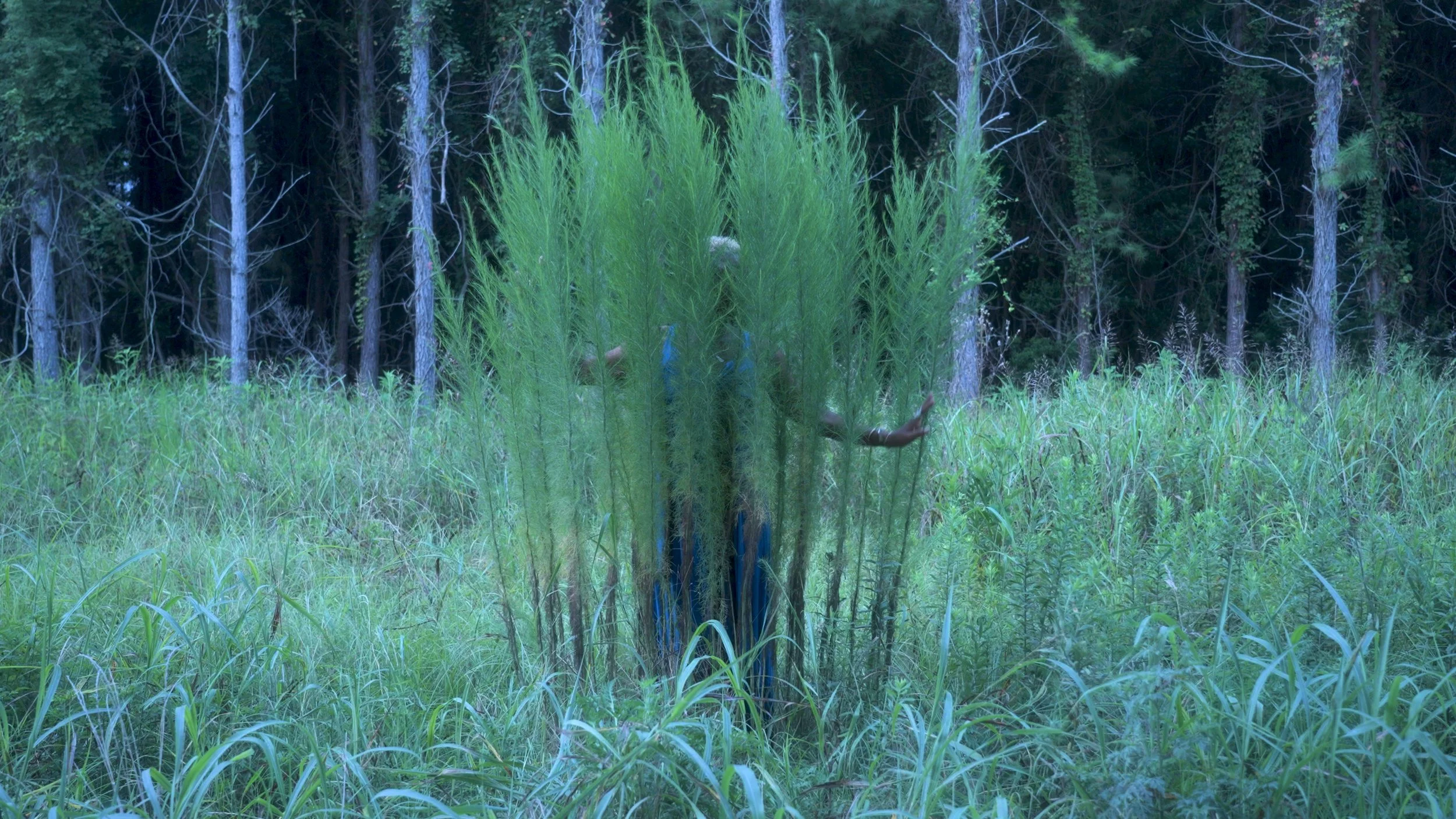 Effluvia Still 2.jpg