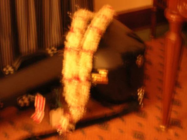 Sitar at rest after concert, Kolkata, India - August 6, 2005