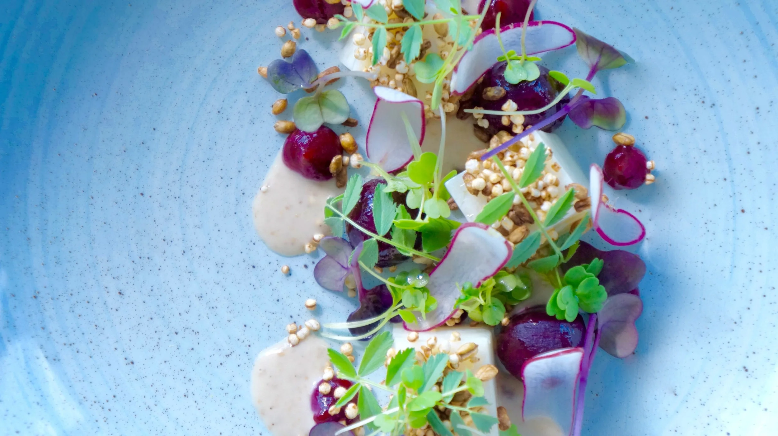 DARREN TEMPLEMAN AT O BAR AND DINING