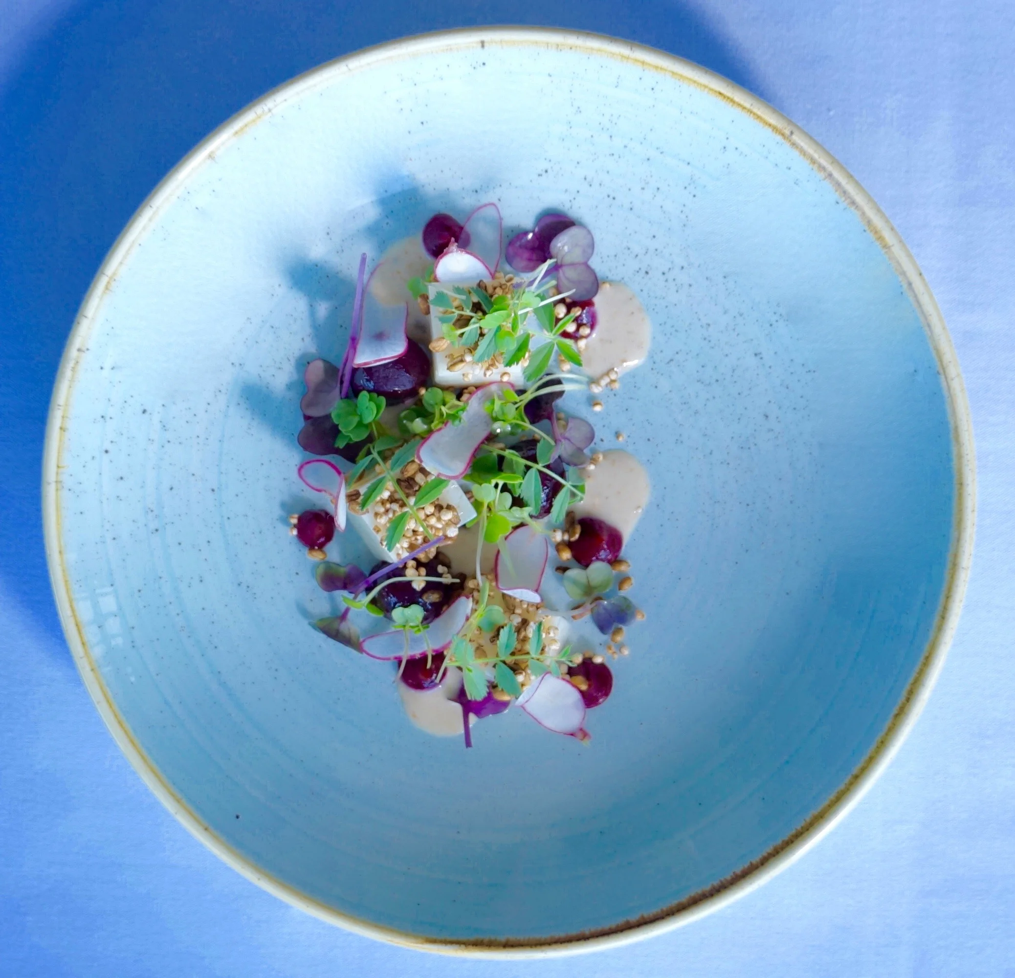 WHITE SOY SILKEN TOFU, PICKLED BEETS, GOMA SAUCE, PUFFED GRAINS, MICRO CHICKPEA AND RADISH.