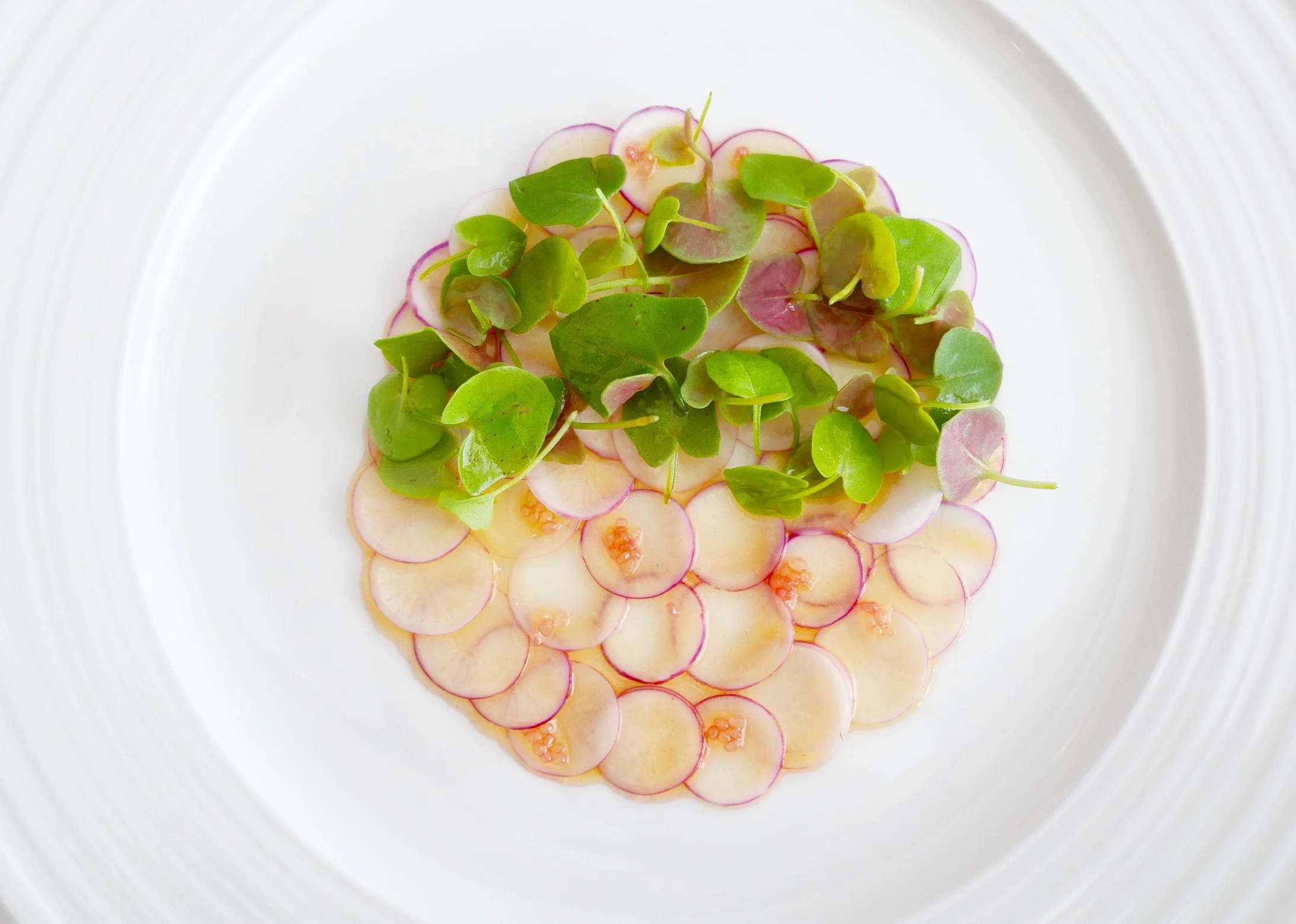 BLUSH TURNIP, FINGER LIME, WOODLAND SORREL, PONZU