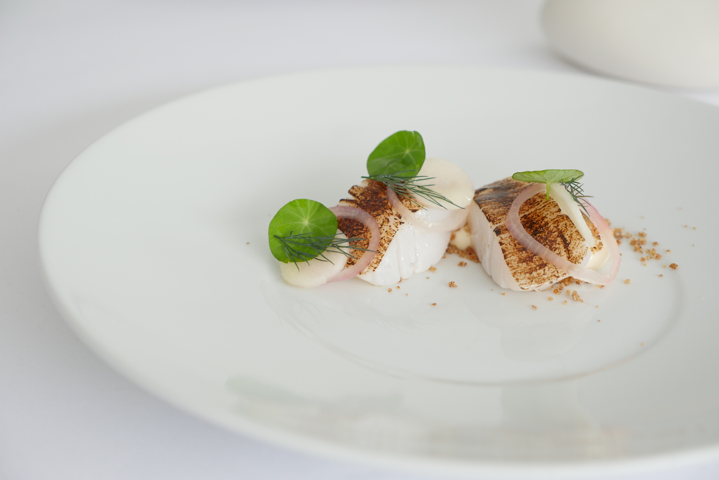 SCALLOP, RYE, HORSERADISH, NASTURTIUM, BRONZE FENNEL