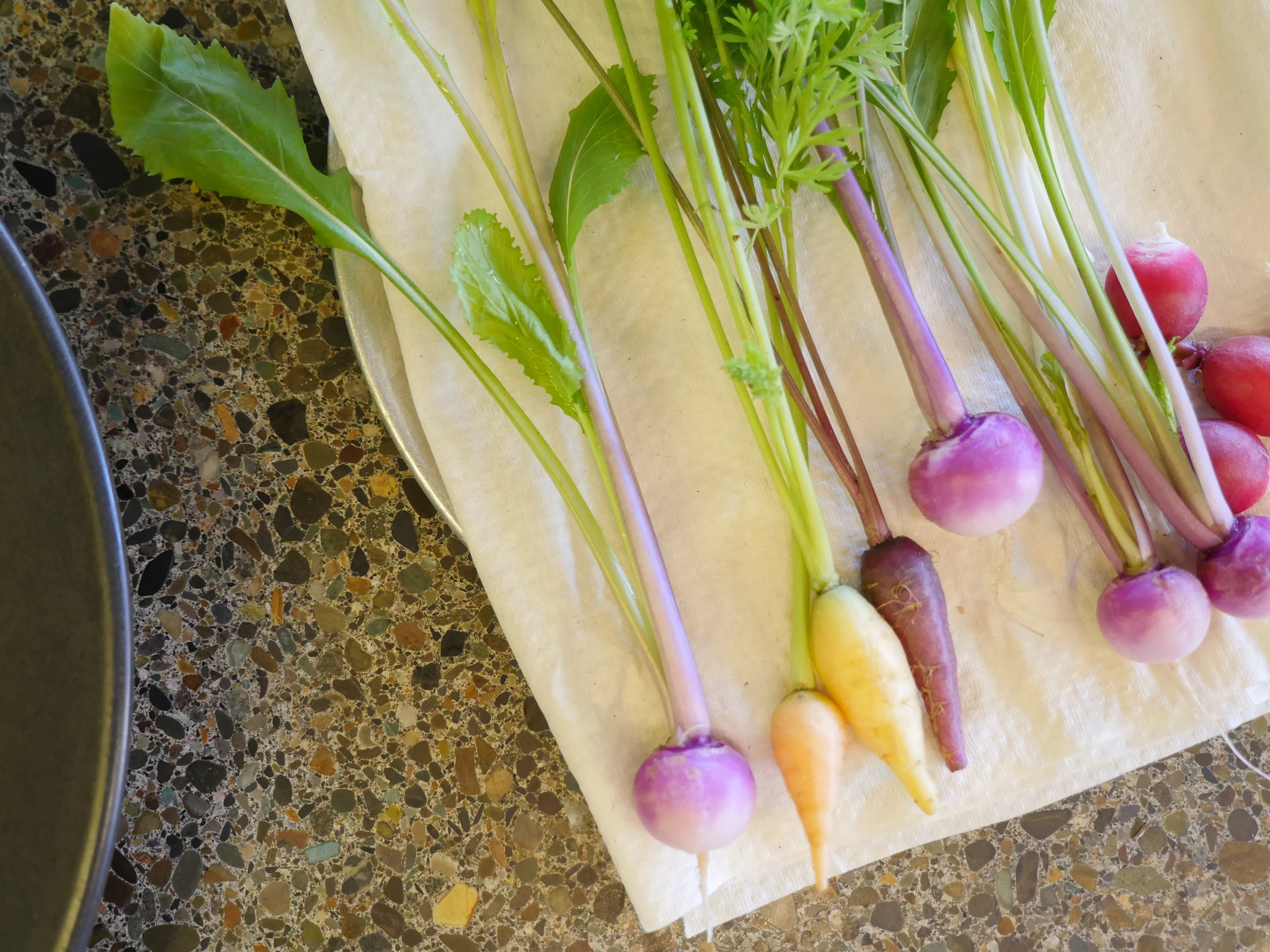 PETITE BOUCHE BLUSH SALAD TURNIP, RAINBOW CARROTS, BREAKFAST RADISH.