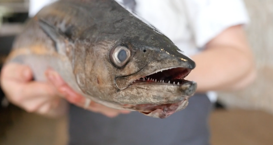 SAINT PETER THINKS OUTSIDE THE BOX WHEN IT COMES TO FISH