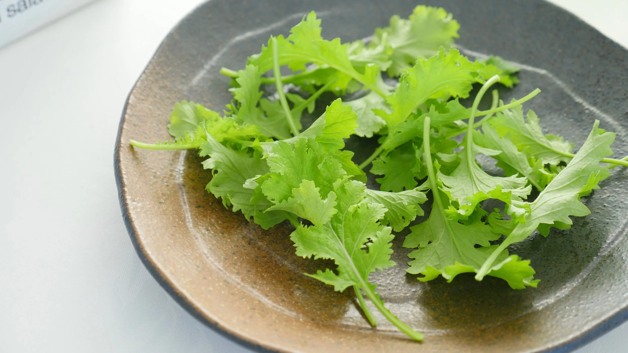 PETITE BOUCHE WASABI LEAF
