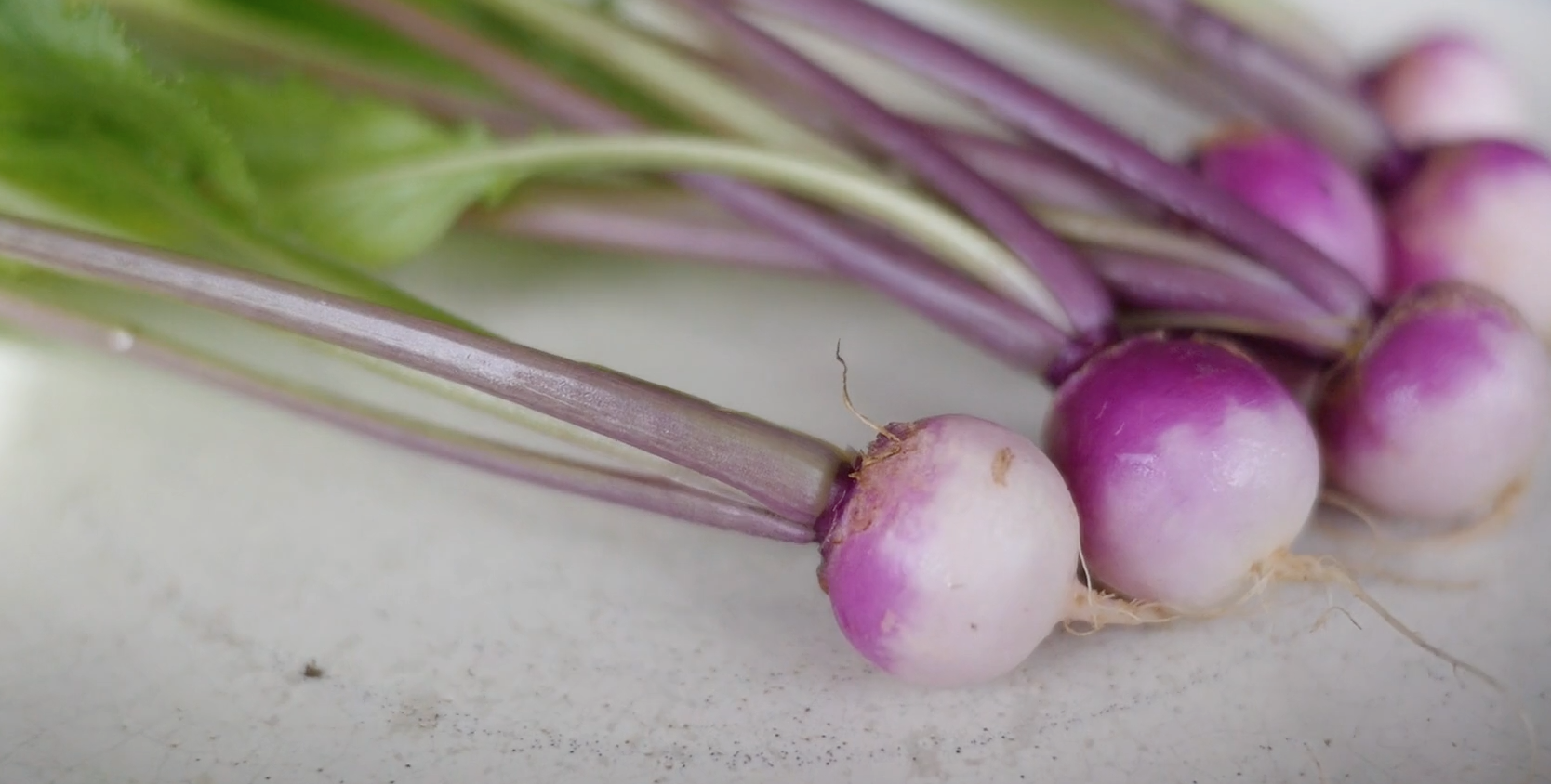 PETITE BOUCHE BLUSH SALAD TURNIP